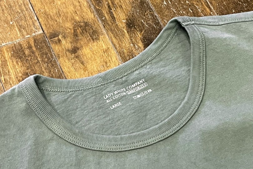 Lady White Co. Our T-Shirt Dusty Sage