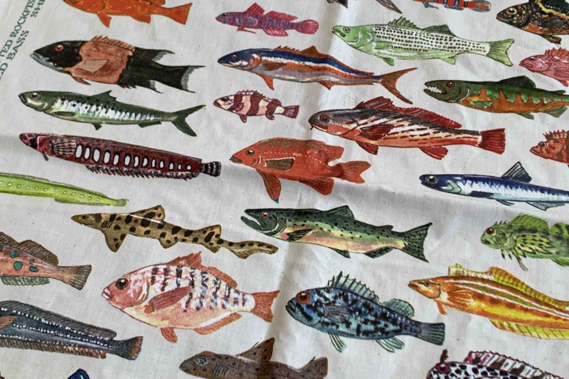 The Printed Image Pacific Coast Fishes Bandana Natural