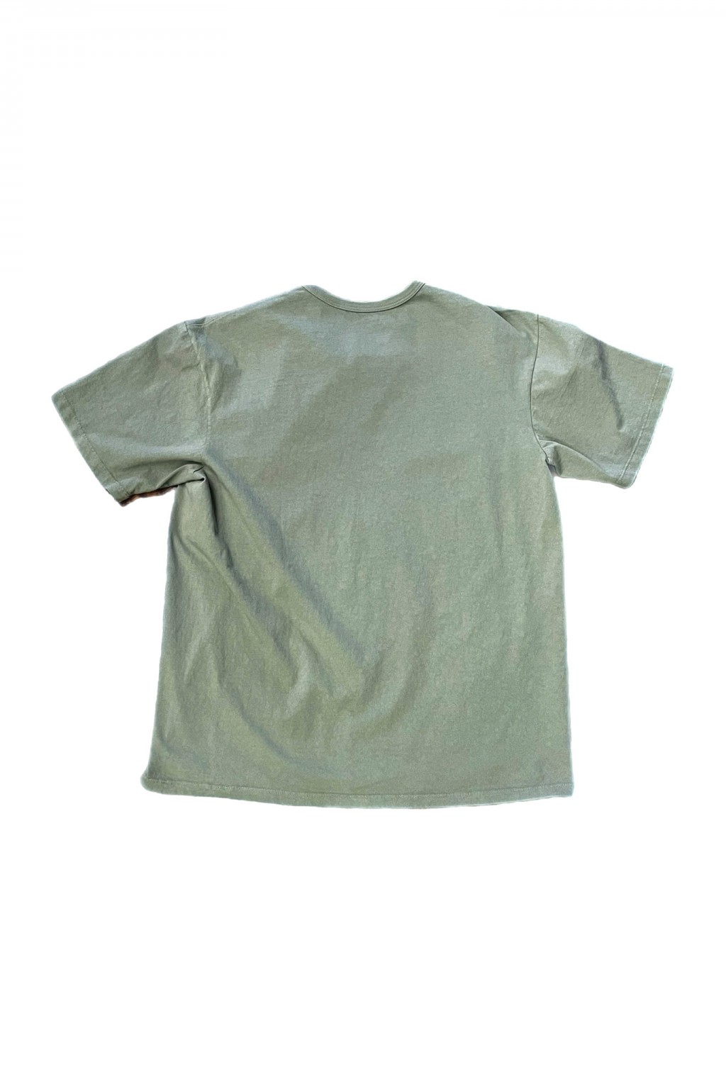 Lady White Co. Our T-Shirt Dusty Sage