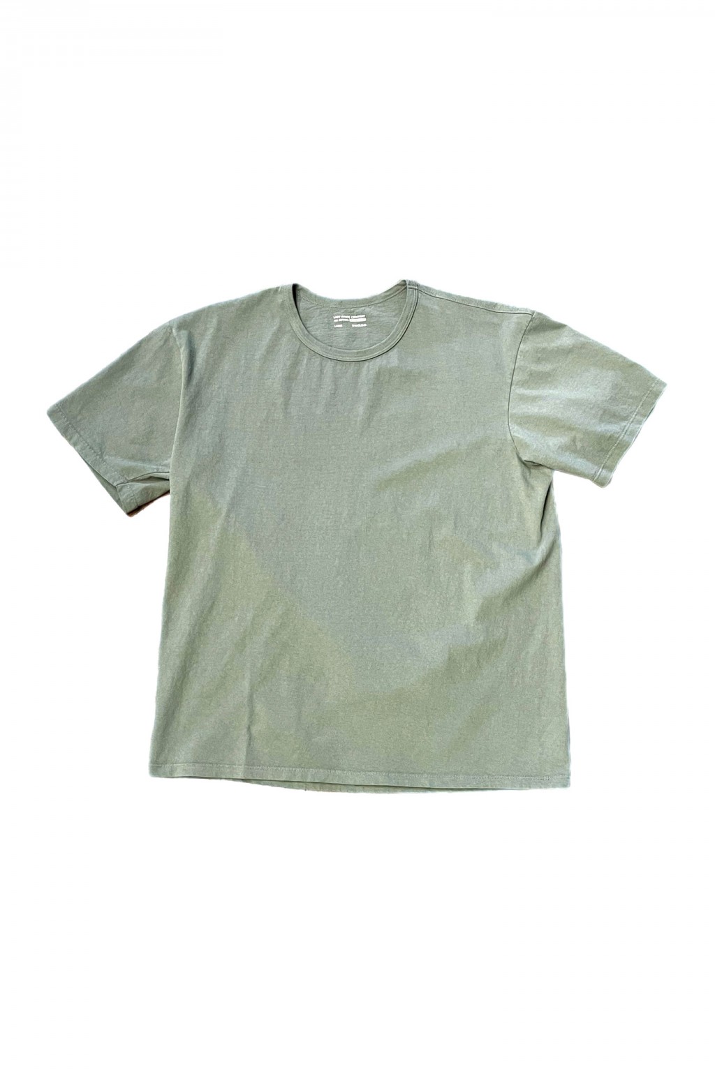 Lady White Co. Our T-Shirt Dusty Sage