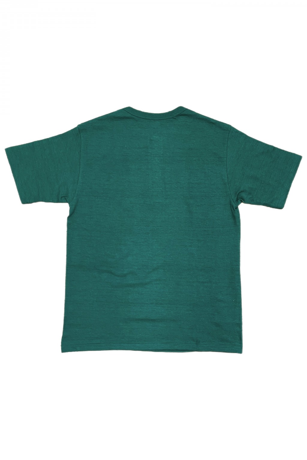 Warehouse & Co. Lot 4601 Henley Neck T Dark Green - Made in