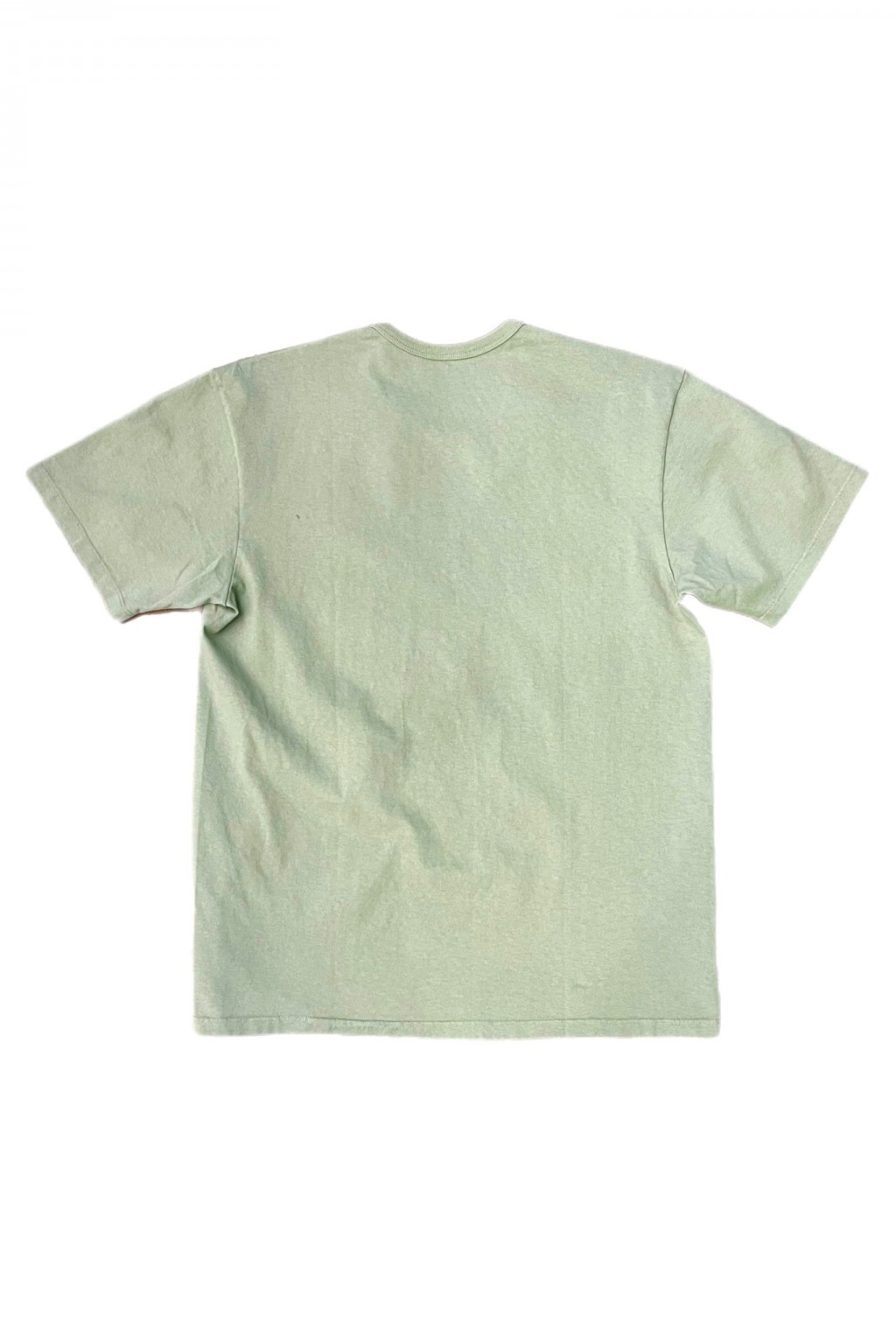 Lady White Co. Our T-Shirt Pistachio