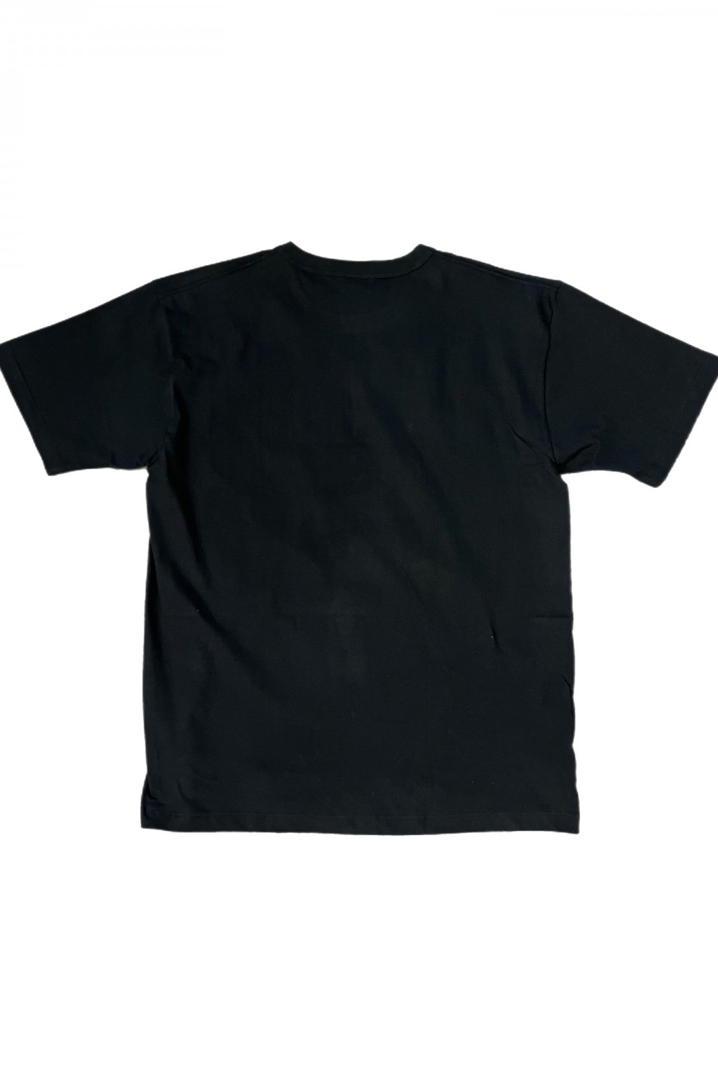 Buzz Rickson's US Government Issue Tee Black