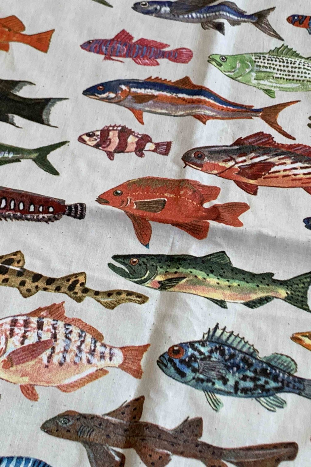 The Printed Image Pacific Coast Fishes Bandana Natural